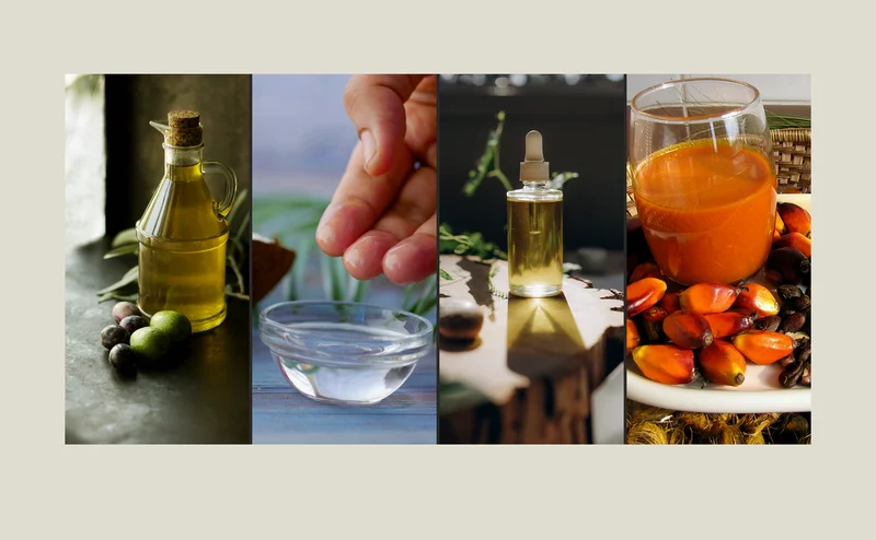 Olive, coconut, castor and red palm oil, each in glass